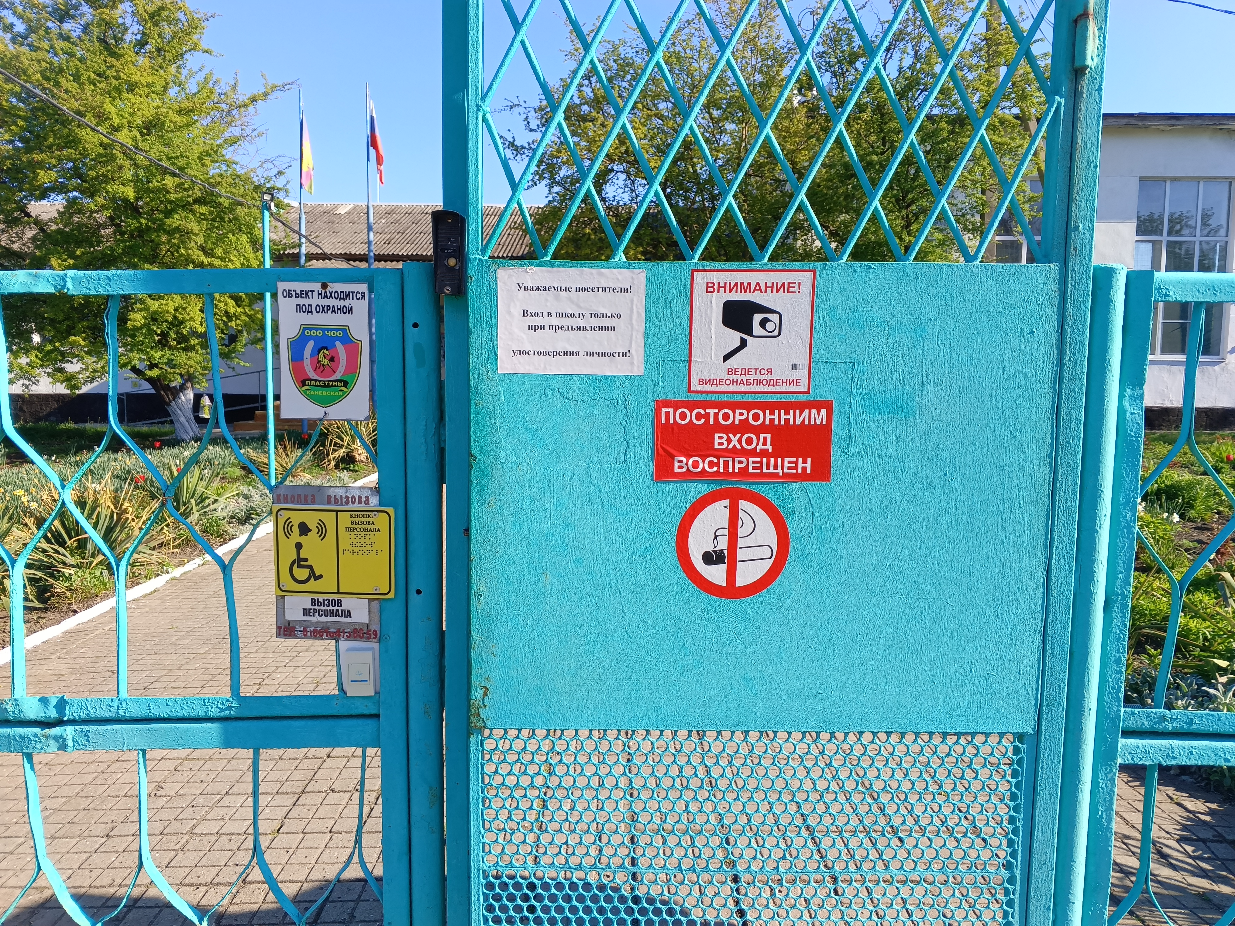 Изображение 0